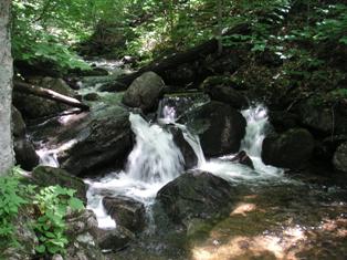 Bromley Brook